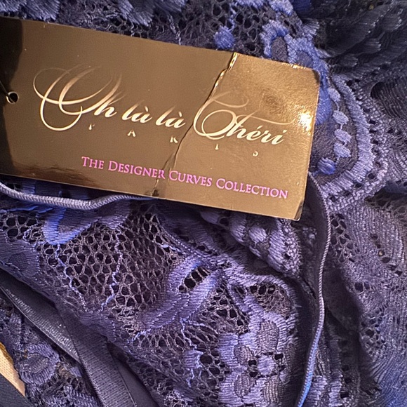 Oh La La Cheri Cortney‎ Lace Bodysuit - Estate Blue Size L/XL - Picture 10 of 10